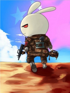 那年那兔那些事儿