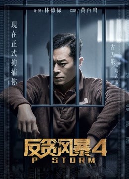 反贪风暴4粤语版