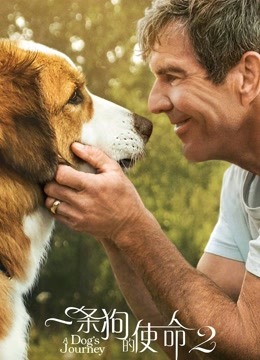 一条狗的使命2普通话版