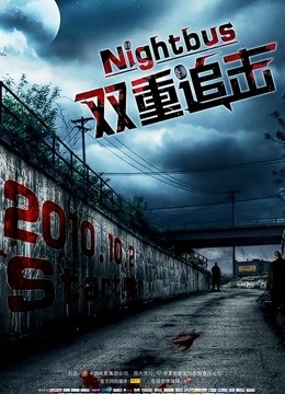 双重追击普通话版